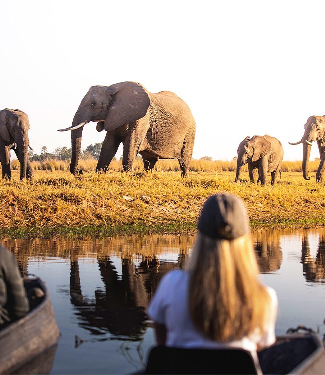 Moremi Game Reserve